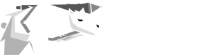 Creative Bear Logo